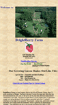 Mobile Screenshot of brightberryfarm.com